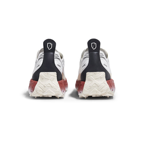 LTD Edition